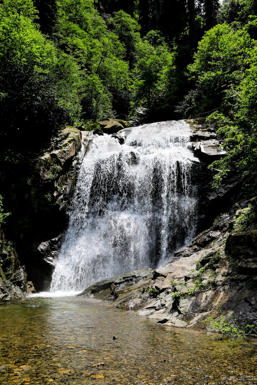 waterfall in forest