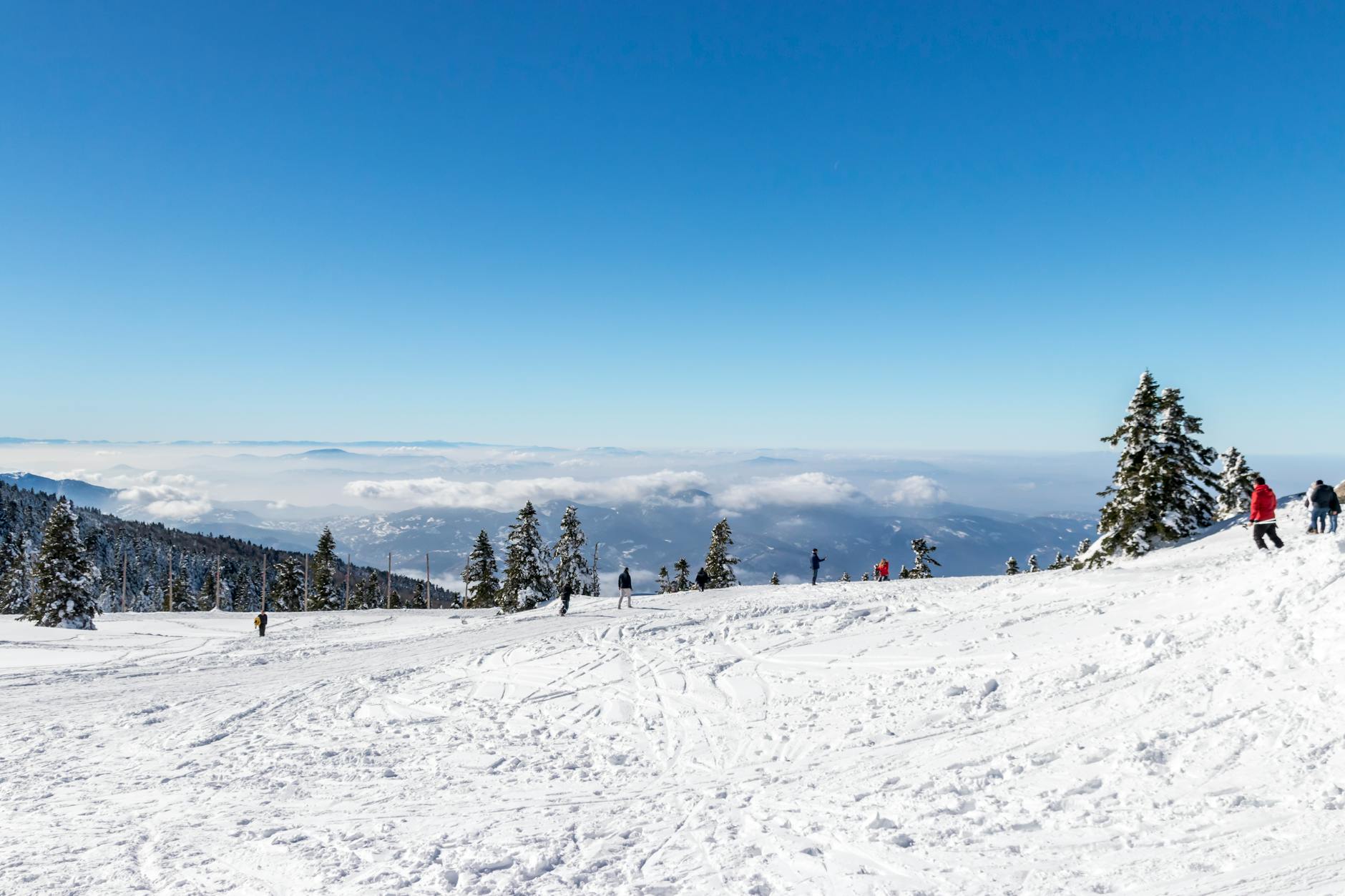 people on snow covered ground under blue sky