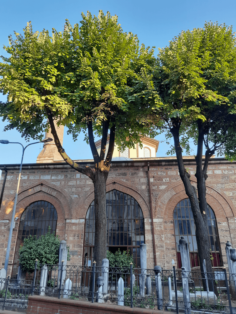 Üftade Camii: Bursa’nın Manevi Mirasında Bir Osmanlı İncisi 4 üftade mezarlık