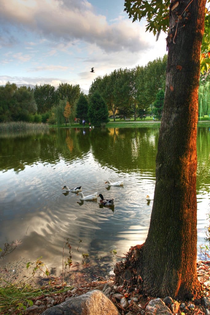 Bursa Botanik Parkı: Doğanın İçinde Huzurlu Bir Kaçamak 9 Bursa Botanik Parkı: Doğanın İçinde Huzurlu Bir Kaçamak