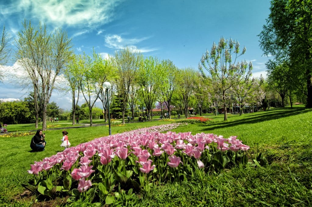 Bursa Botanik Parkı: Doğanın İçinde Huzurlu Bir Kaçamak 6 Bursa Botanik Parkı: Doğanın İçinde Huzurlu Bir Kaçamak