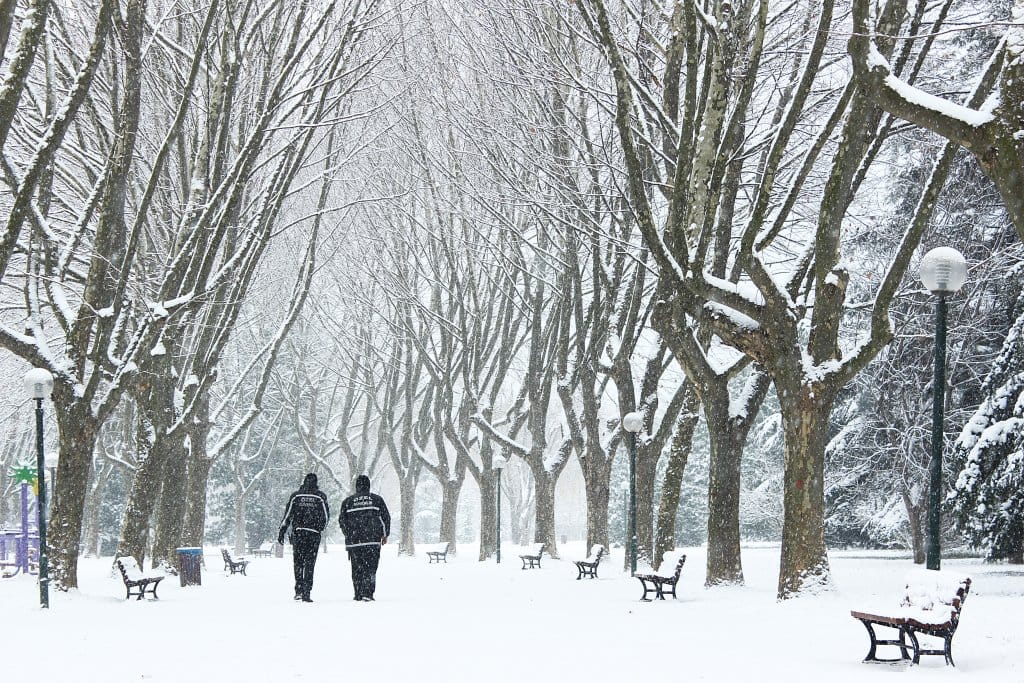 Bursa Botanik Parkı: Doğanın İçinde Huzurlu Bir Kaçamak 5 Bursa Botanik Parkı: Doğanın İçinde Huzurlu Bir Kaçamak