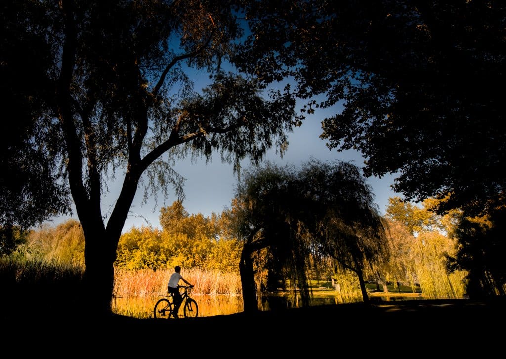 Bursa Botanik Parkı: Doğanın İçinde Huzurlu Bir Kaçamak 4 Bursa Botanik Parkı: Doğanın İçinde Huzurlu Bir Kaçamak