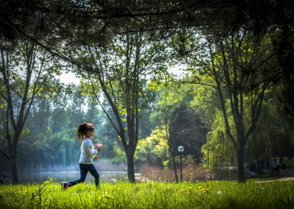 Bursa Botanik Parkı: Doğanın İçinde Huzurlu Bir Kaçamak 3 Bursa Botanik Parkı: Doğanın İçinde Huzurlu Bir Kaçamak