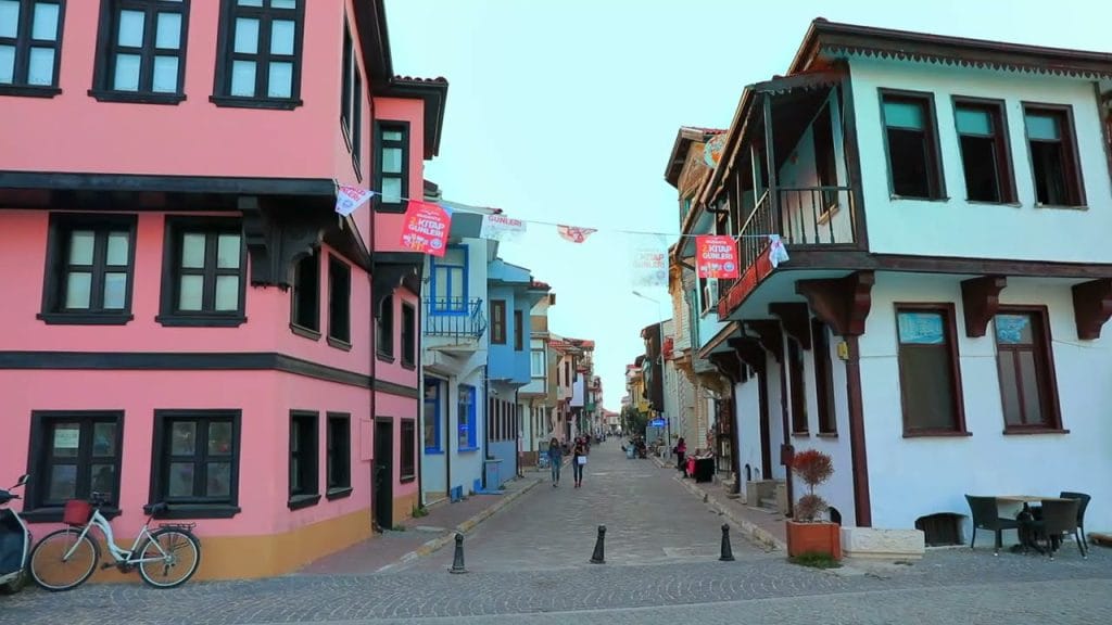 Zeytin ağaçlarıyla kaplı Mudanya tepeleri